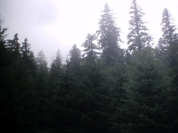 So pretty up here. Clears your head a lot. Helps detox you a bit, I guess. So when you go back...