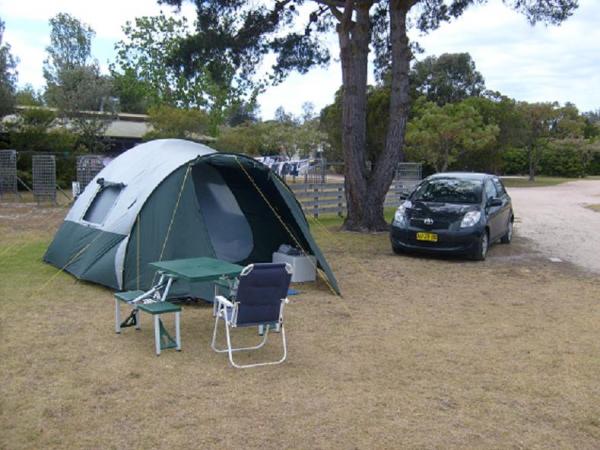 2 - Of course we parked under a tree. You know how safe it is to put a tent up under a tree with...