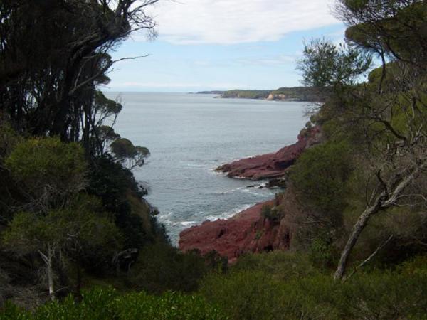 4 - While walking alone a 30.6 kilometre bushwalking track, i saw this view - SNAP- <br />
<br...