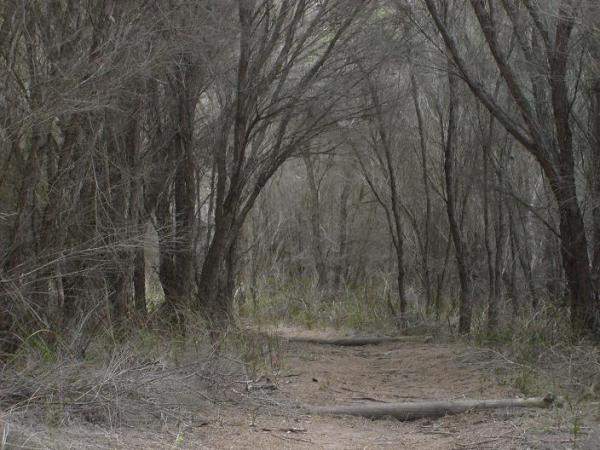 27 - Another lonely picture.