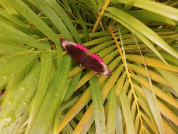 Photo0027 001