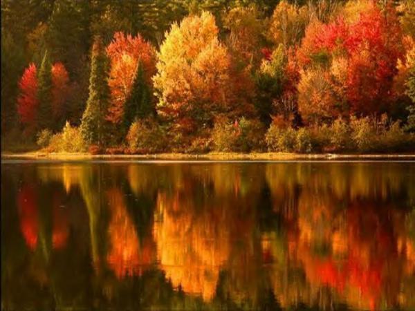 Autumn 3