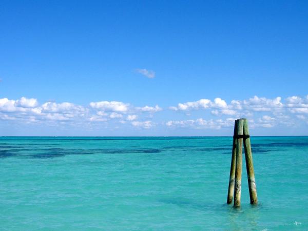 endless ocean