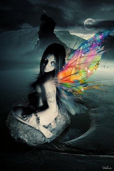 dark fairy wings rainbow 31000