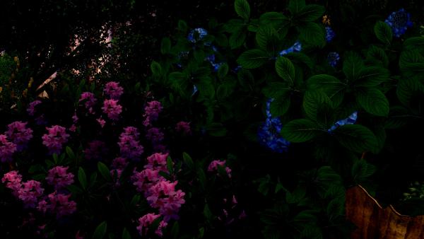 A floral convergence.<br />
<br />
Larger Size:<br />
http://i.imgur.com/3phmx.jpg