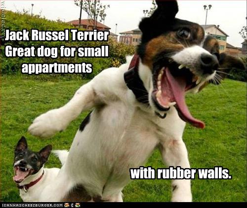flying JRT