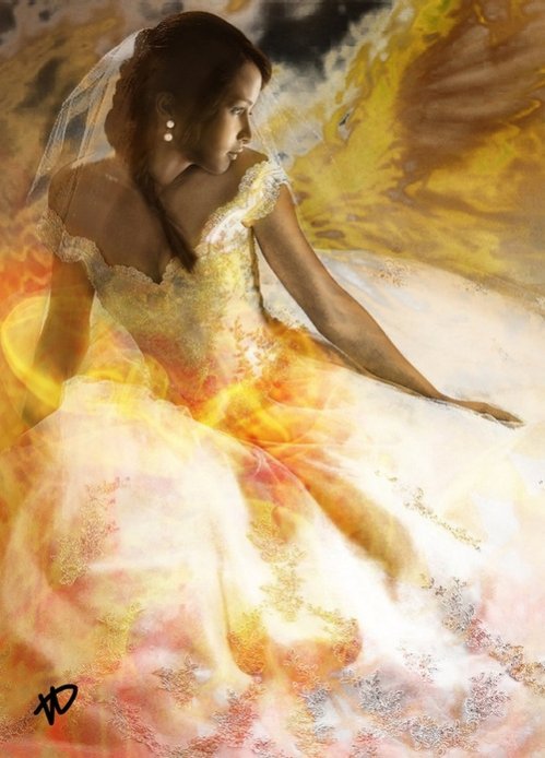 the mockingjay large[1]