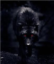 Bibindoe in Wolf form