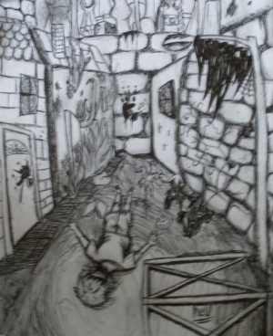 Illustrations