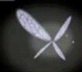Avatars