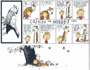 2293