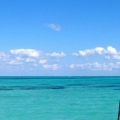 endless ocean