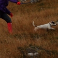 zooooooooom!