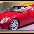 Red XLR V