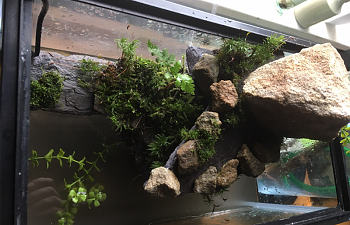 paldarium_top.png